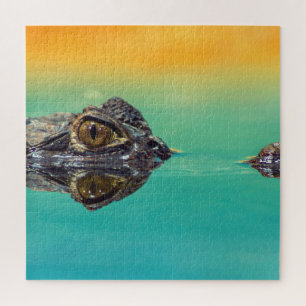 Puzzle Cocodrilo bebé verde en agua con azul y Naranja