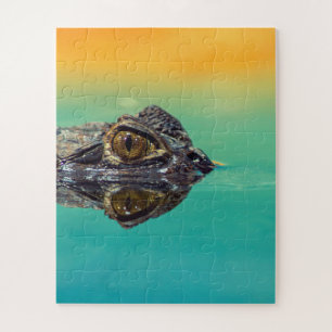 Puzzle Cocodrilo bebé verde en agua con azul y Naranja