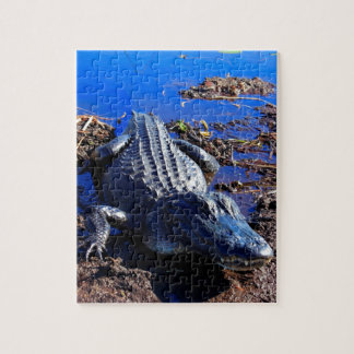 Puzzle Cocodrilo de los marismas