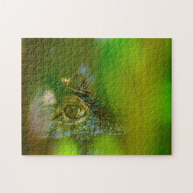 Puzzle Cocodrilo en Guyana. (Horizontal)