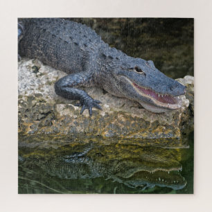 Puzzle Cocodrilo oscuro con un reflejo claro en el agua