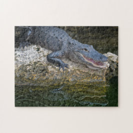 Puzzle Cocodrilo oscuro con un reflejo claro en el agua