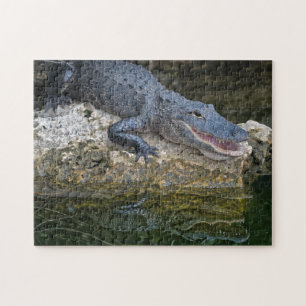 Puzzle Cocodrilo oscuro con un reflejo claro en el agua