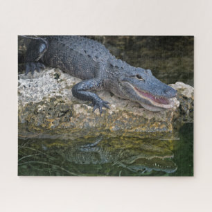 Puzzle Cocodrilo oscuro con un reflejo claro en el agua