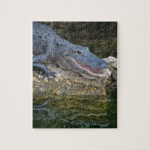 Puzzle Cocodrilo oscuro con un reflejo claro en el agua