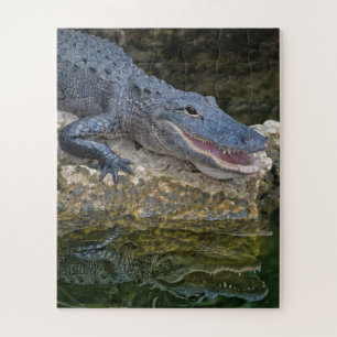 Puzzle Cocodrilo oscuro con un reflejo claro en el agua