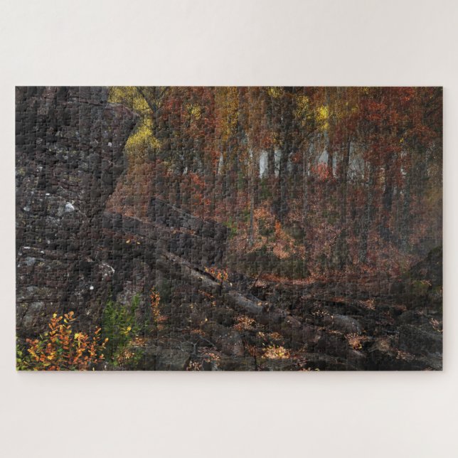 Puzzle Coda (Horizontal)