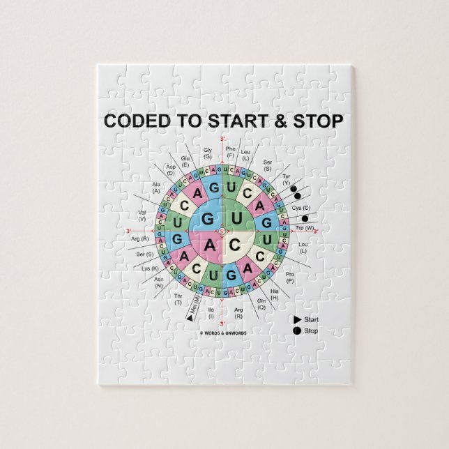 Puzzle Codificado Para Iniciar Y Parar (Rueda Codon) (Vertical)