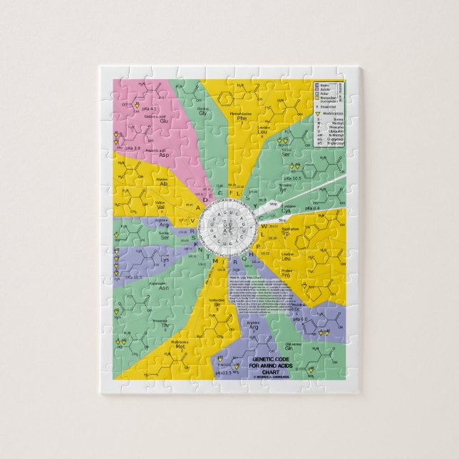 Puzzle Código genético para los aminoácidos (rueda de la (Vertical)