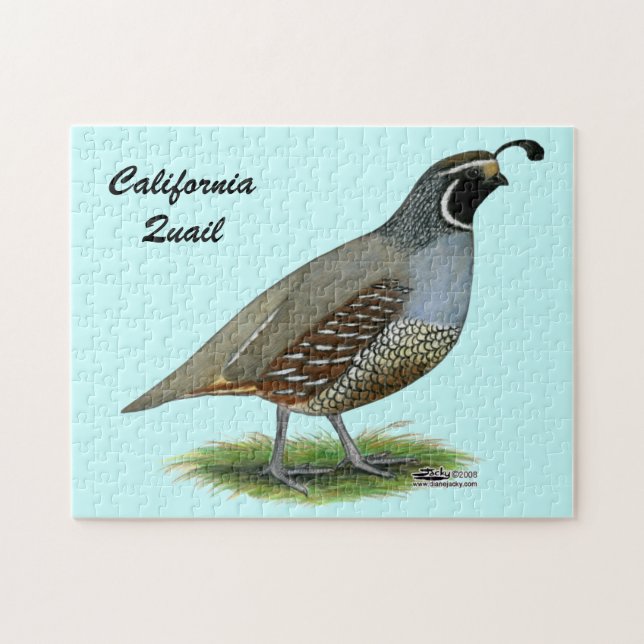 Puzzle Codornices del valle de California (Horizontal)