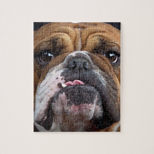 Puzzle Cojín decorativo de Bulldog inglés (Vertical)