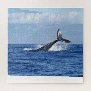 Puzzle Cola de Ballena Escénica Oceánica 
