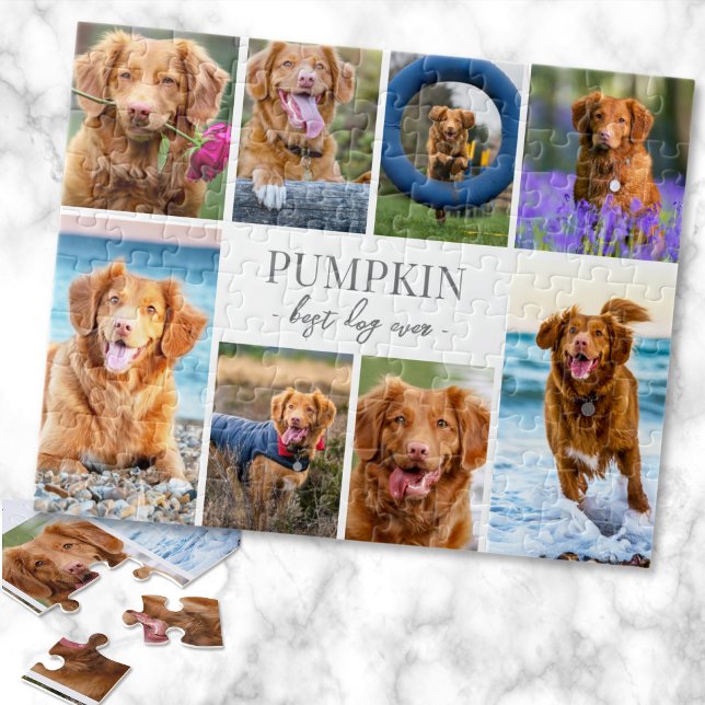Puzzle Colaje de Fotos de Mascotas Perros Simples (Simple Dog Pet Photo Collage jigsaw puzzle)