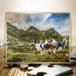 Puzzle Colas de pastores en tierras altas de Escocia -