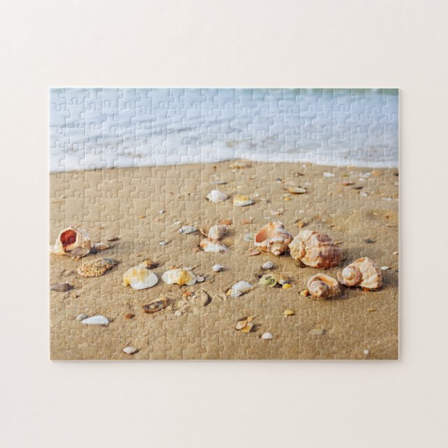 Puzzle Colección de conchas marinas (Horizontal)