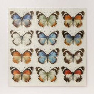 Puzzle Colección de especímenes de mariposas antiguas