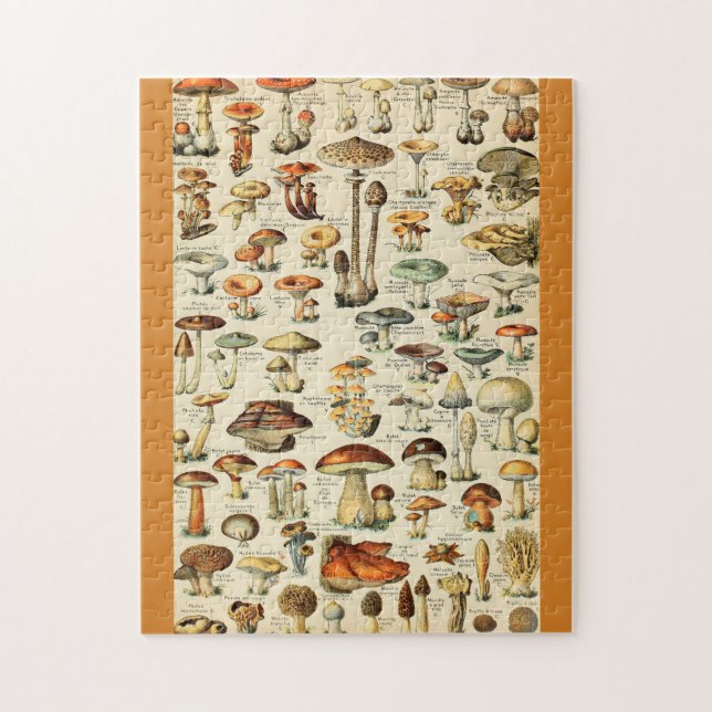 Puzzle Colección de hongos (Vertical)