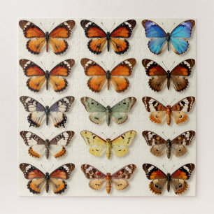 Puzzle Colección de mariposas vintage en rejilla