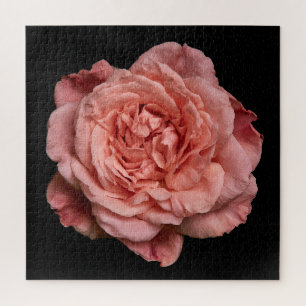 Puzzle Colección de Rosa Elegante sobre Negro