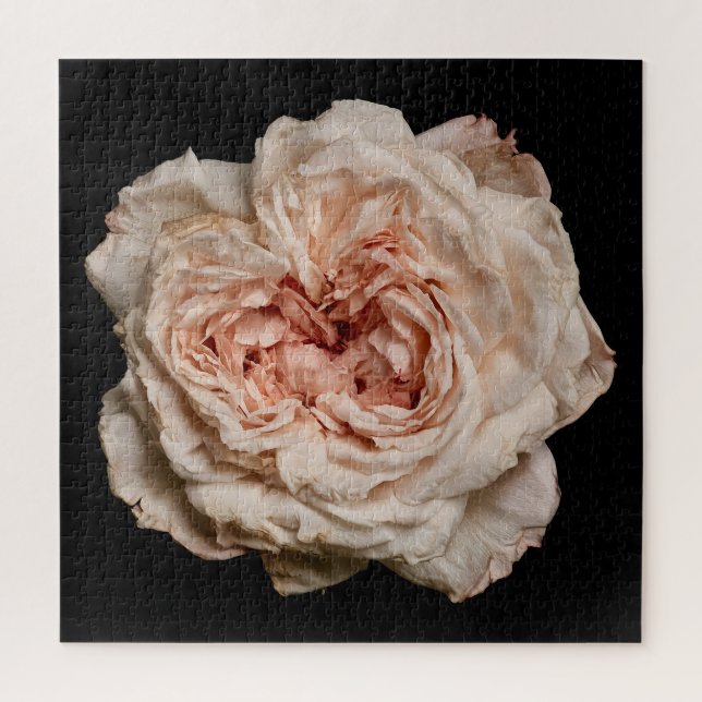 Puzzle Colección de Rosa Elegante sobre Negro (Vertical)