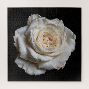 Puzzle Colección de Rosa Elegante sobre Negro