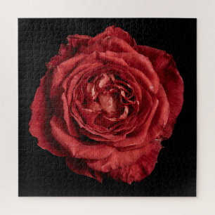 Puzzle Colección de Rosa Elegante sobre Negro