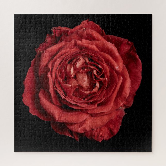 Puzzle Colección de Rosa Elegante sobre Negro (Vertical)