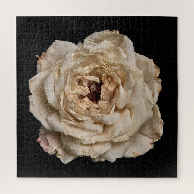 Puzzle Colección de Rosa Elegante sobre Negro (Vertical)