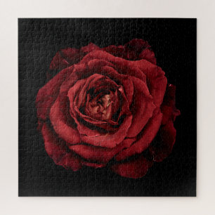 Puzzle Colección de Rosa Elegante sobre Negro