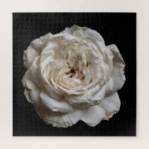 Puzzle Colección de Rosa Elegante sobre Negro