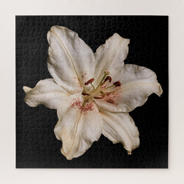 Puzzle Colección Elegante de Lirios sobre Negro (Vertical)