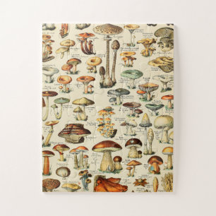 Puzzle Colección Mushroom