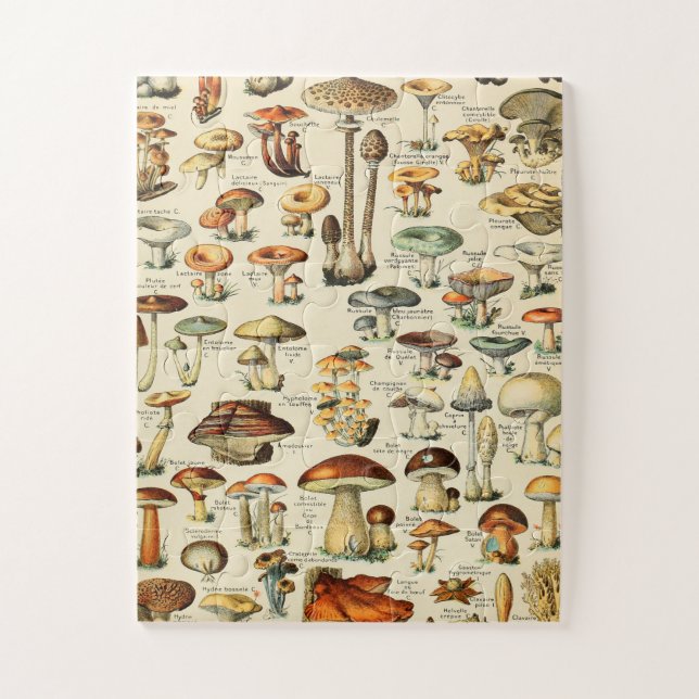 Puzzle Colección Mushroom (Vertical)