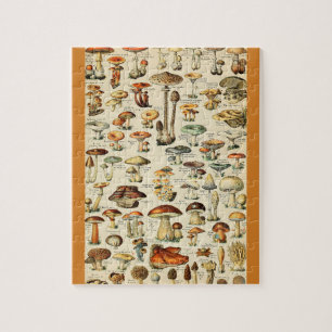 Puzzle Colección Mushroom