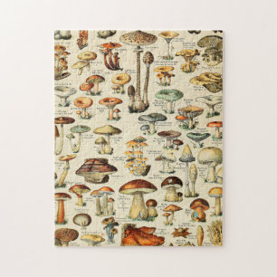 Puzzle Colección Mushroom