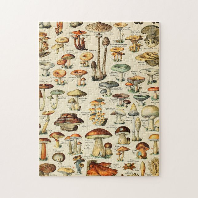 Puzzle Colección Mushroom (Vertical)