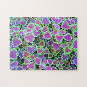 Puzzle Coleus Borgoña Rastrero