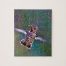 Colibrí