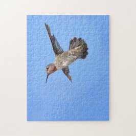 Puzzle Colibrí