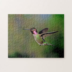 Puzzle Colibrí