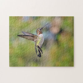 Puzzle Colibrí