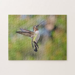 Puzzle Colibrí