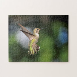 Puzzle Colibrí
