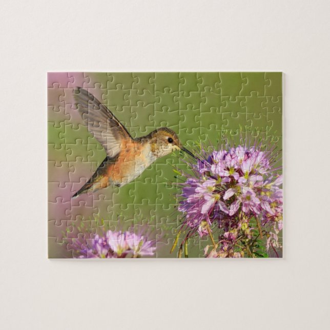 Puzzle Colibrí (Horizontal)