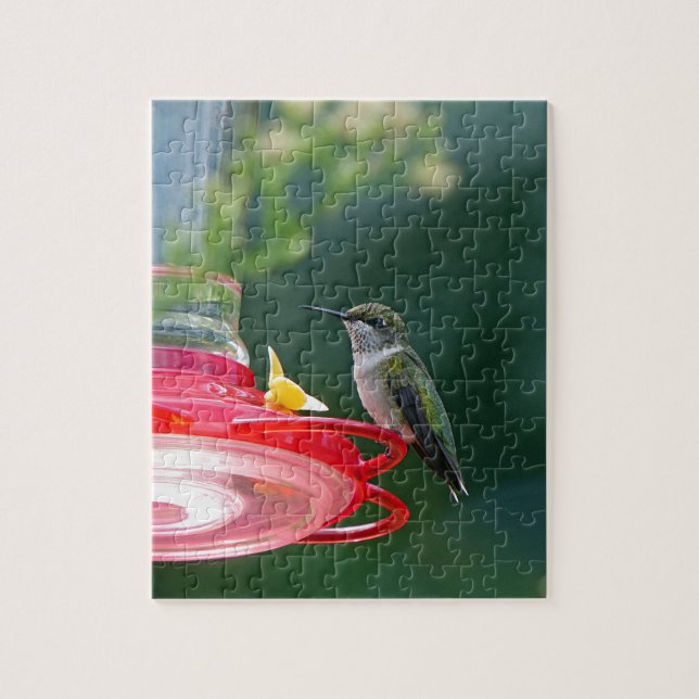 Puzzle Colibrí (Vertical)
