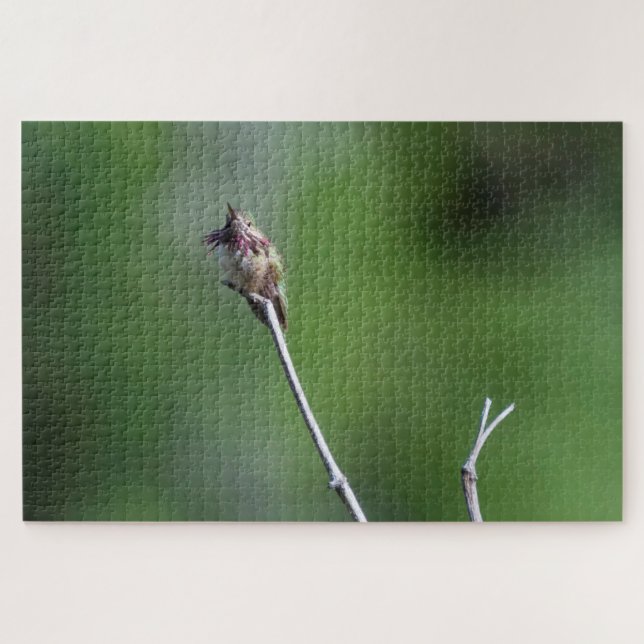 Puzzle Colibrí de Calliope (Horizontal)