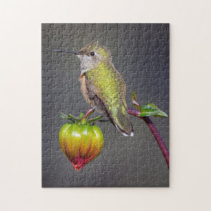 Puzzle Colibrí descansa en capullo de flor