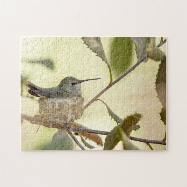 Puzzle Colibrí hembra en su nido (Horizontal)