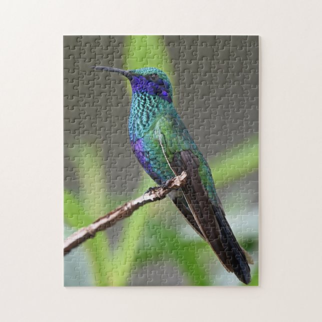 Puzzle Colibrí Pájaro Posado Pico Plumas (Vertical)