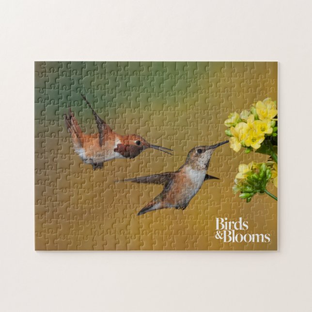 Puzzle Colibrí rufo flotante (Horizontal)